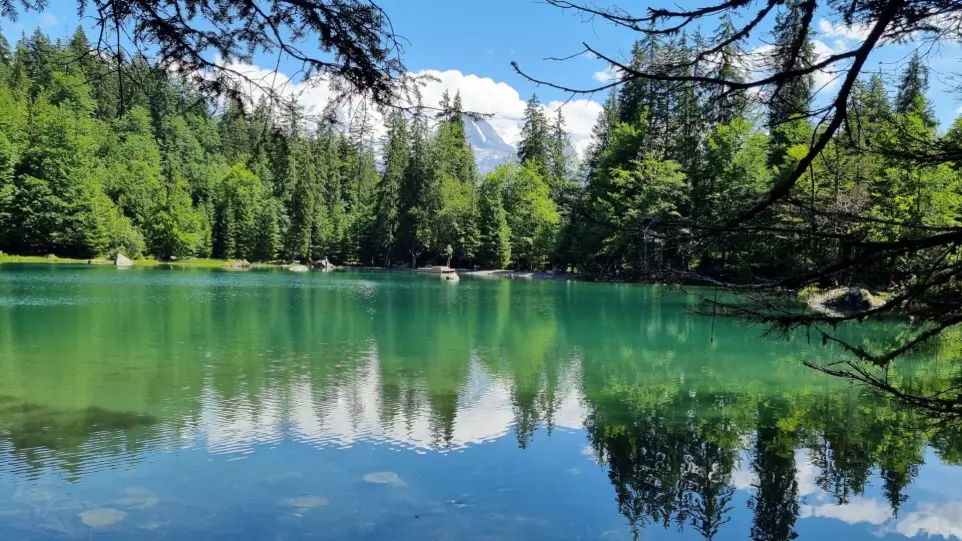 Le Lac Vert - Passy